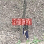 IMG-20200508-WA0103