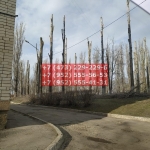 IMG-20200508-WA0007
