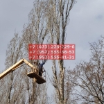 IMG-20200508-WA0011