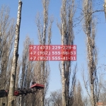 IMG-20200508-WA0043