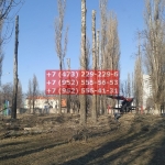 IMG-20200508-WA0048