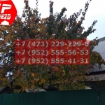 IMG-20191025-WA0669