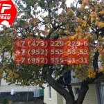 IMG-20191025-WA0670