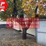 IMG-20191025-WA0671