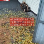 IMG-20191025-WA0678