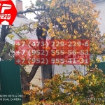 IMG-20191029-WA0079