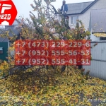 IMG-20191029-WA0234