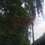 2020-06-29 21-54-01_1593458626009